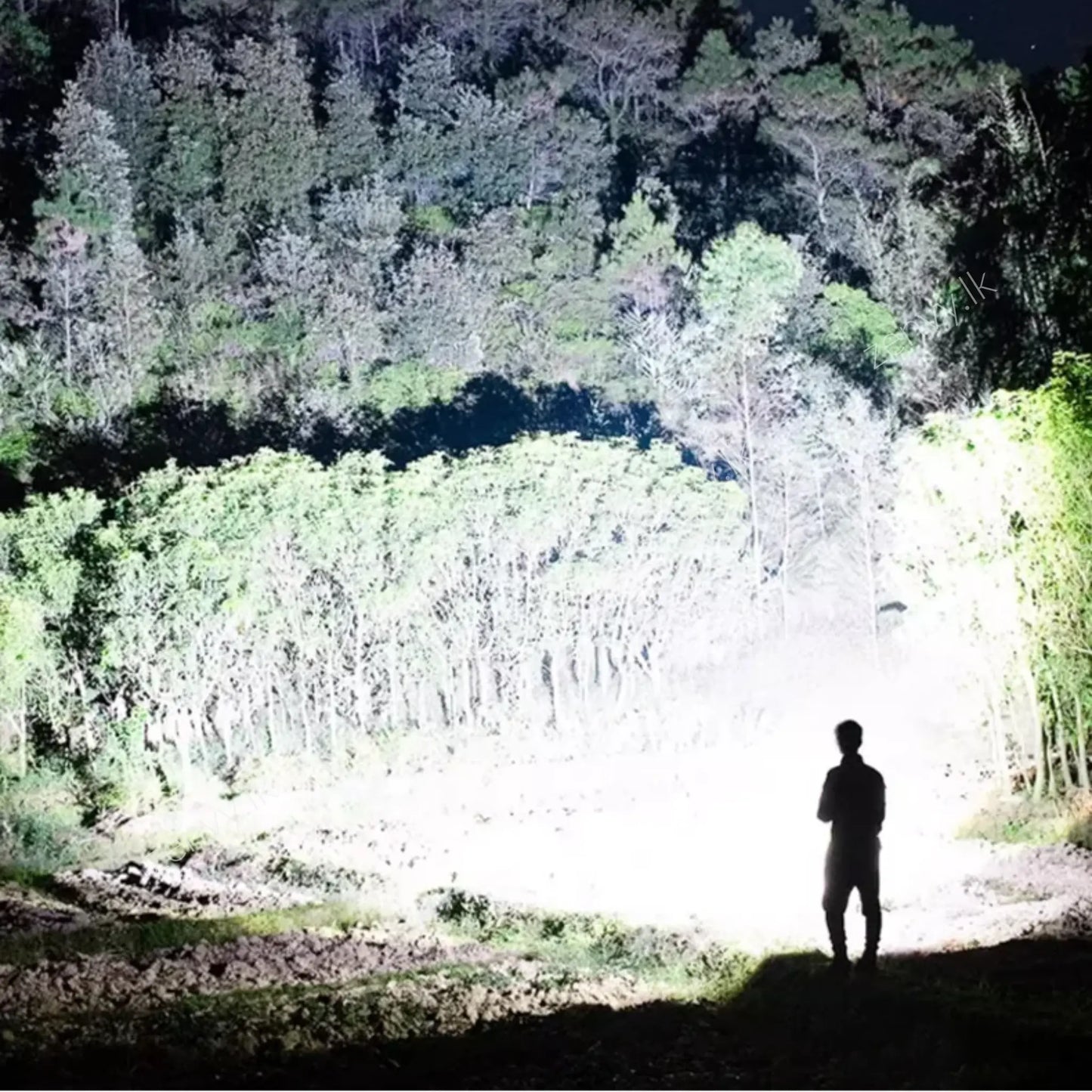 Buy 5 LED Rechargeable Headlamp Online in Sri Lanka | Zenvy.lk