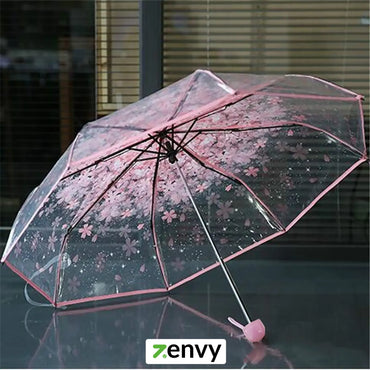 Korean Transparent Umbrella in Sri Lanka